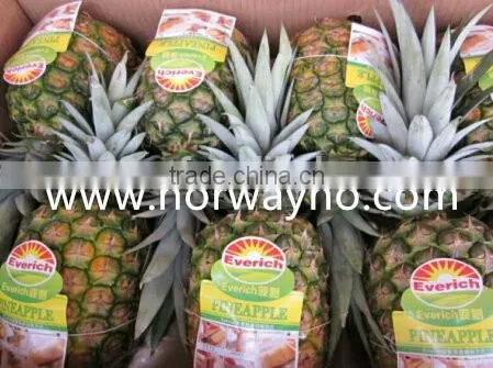 NWH003 Binding Elastic Yarn for Processing Flowers, Vegetables and Industrial Products