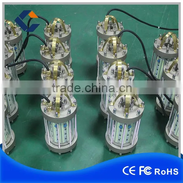 Underwater Led Fishing Lamp With White Pure White 2500W