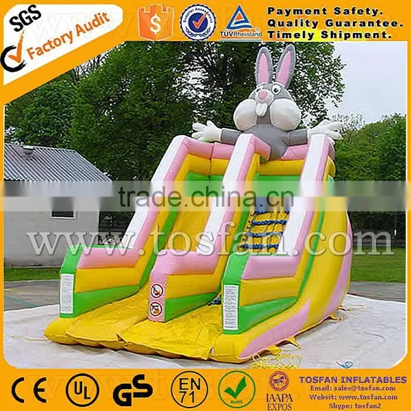 Comfortable Inflatable Water Slide for Fun A4013 photo-5