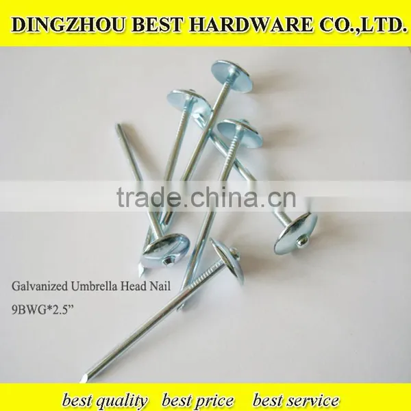 GI Roofing Nail Galvanized Roofing Nail photo-2
