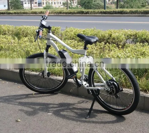 Fast Folding Electric Bike 750W Li-ion Battery Electric Bike