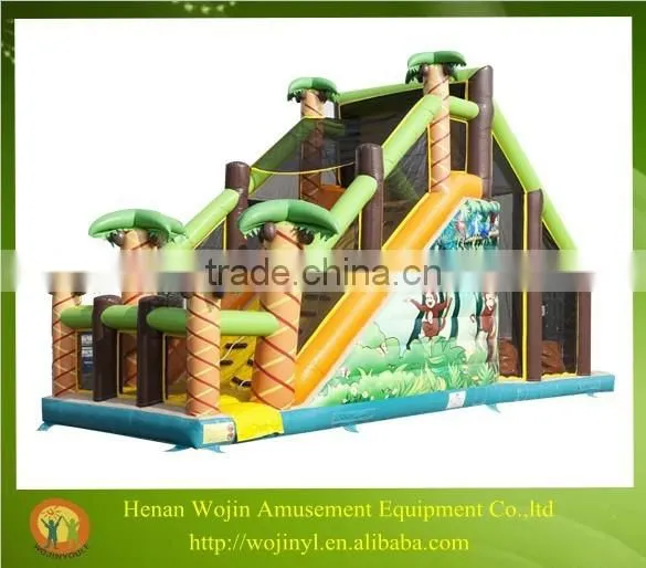 Adult Giant Bouncy Castle Inflatable