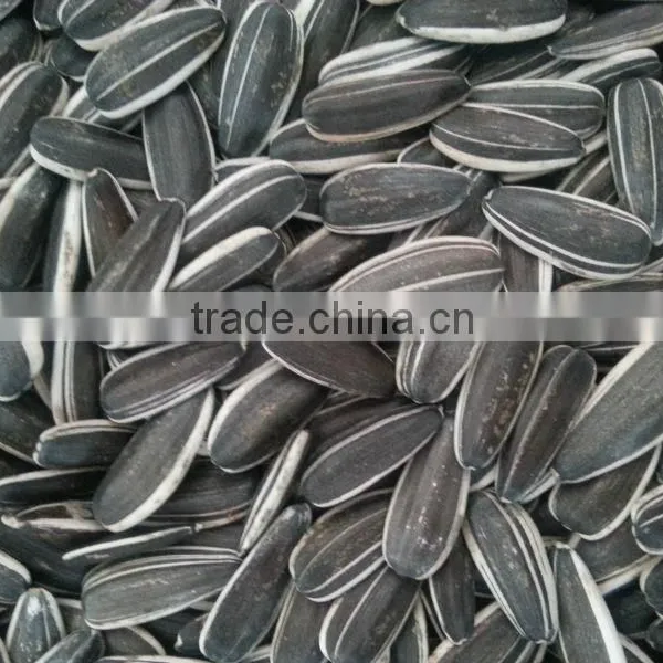 Sunflower Seed