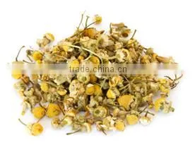 Chamomille Extracts