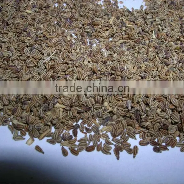 Pure Carum Copticum / Bishop's Weed / Ajwain