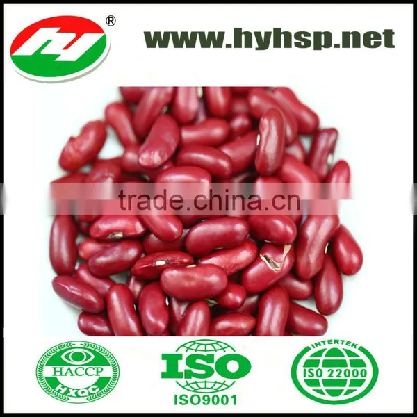 Red Kidney Bean