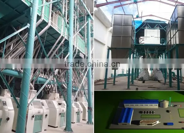 South Africa Maize Flour Mill Machine 100tonnes per 24hrs photo-4