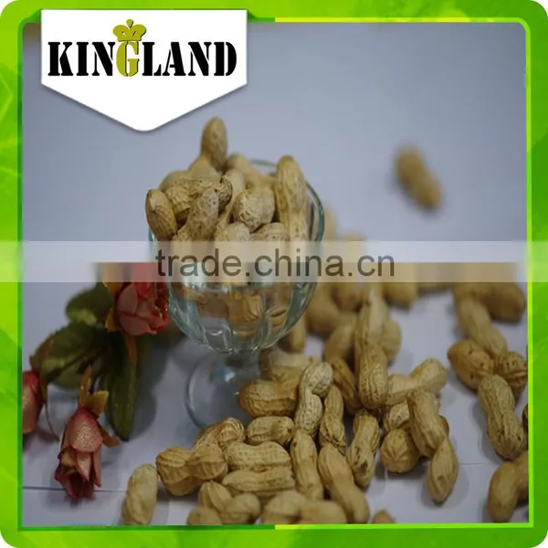 Peanut in Shell Processing photo-6
