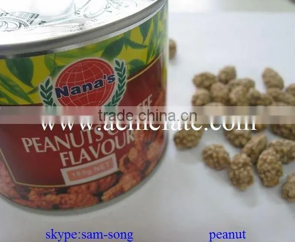 Canned Roasted Salted Peanuts Blanched Peanuts photo-5
