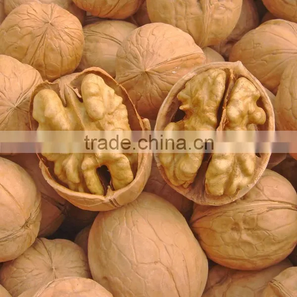 Wholesale Walnut & Walnut Kernel walnut kernels from China at Discount Price