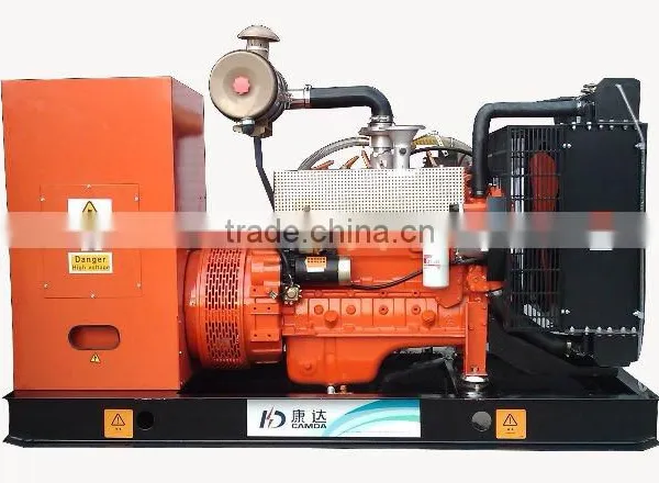 Camda Factory H Series Natural Gas/biogas Generator Sets With/without Canopy Low Rpm Generator photo-4