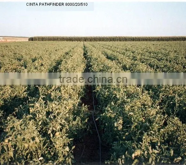 Pathfinder 16mm 0.2mm Drip Tape for Irrigation photo-4