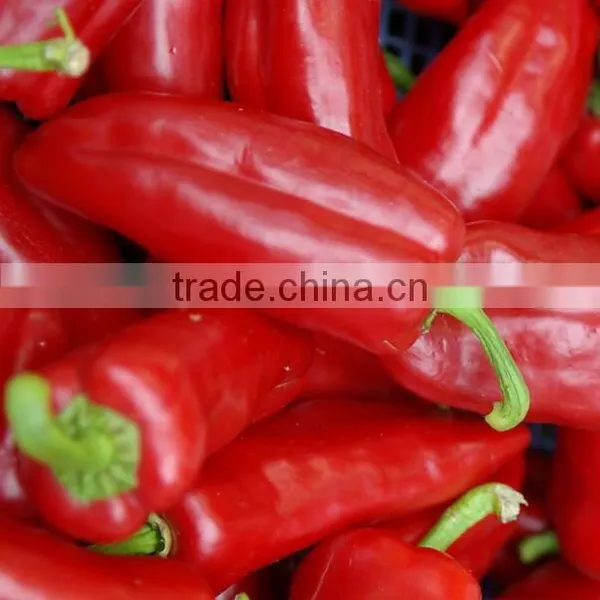 CE Best Selling Commercial Fruit and Vegetable Grinding Machine photo-5