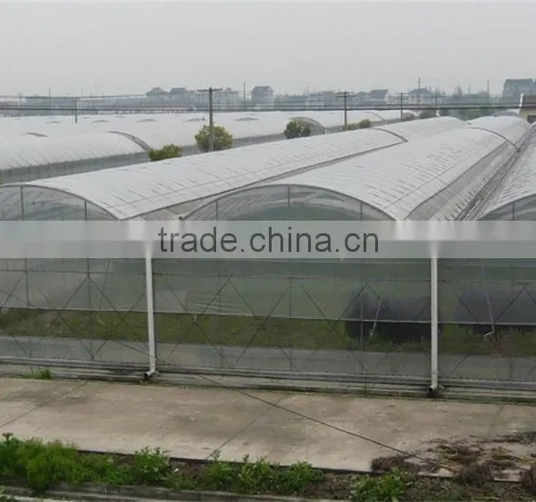 BaoLiDa Low Cost Plastic Film Covered Hoop Greenhouse photo-3