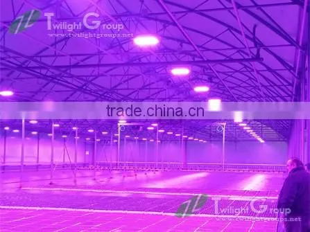 Promote Plants Growth Dimmable 300W Led Grow Light for Sale photo-2
