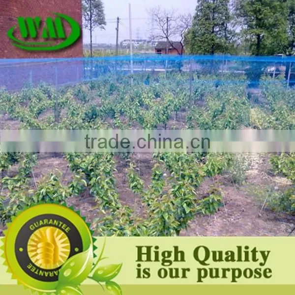 2014 Hot Sale Hdpe Agricultural Bird Netting photo-2