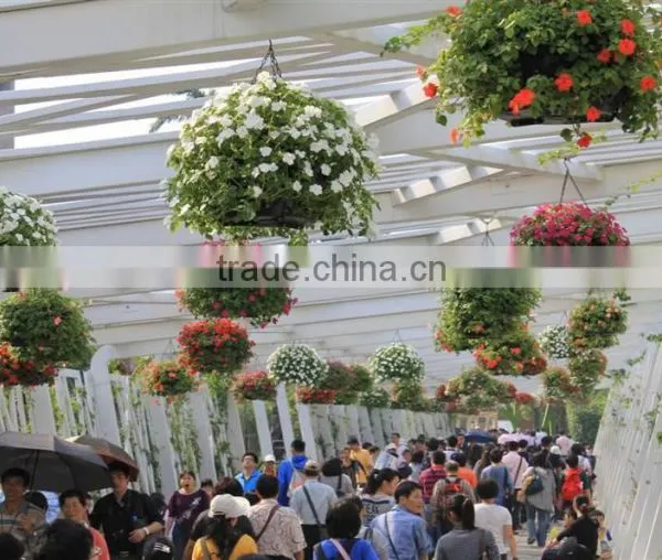 SOL 2015 Environment-friendly Hydroponics Plastic Flower Basket Hanging Flower Pots photo-6