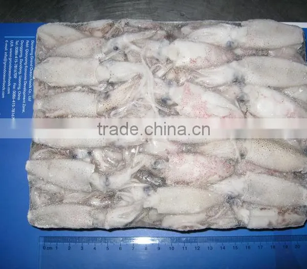 Hot Sale Whole Round Frozen Baby Squid photo-3