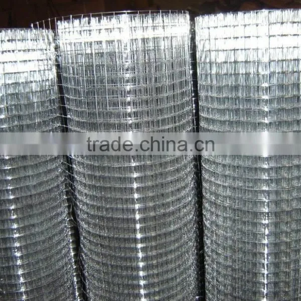 China Supplier Galvanized Wlded Wire Mesh photo-2