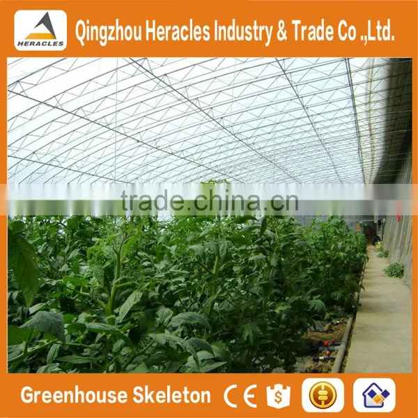 Heracles Low Cost Sunlight Indoor Greenhouse photo-6