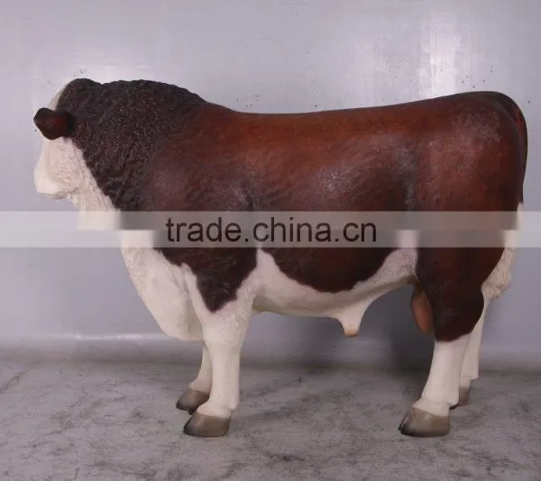 Hereford Bull photo-3