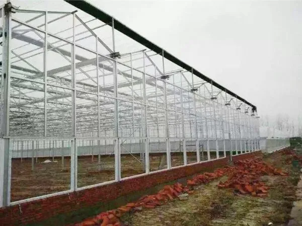 Agricultural Glass Greenhouse for Planting/Hydroponic Planting photo-3