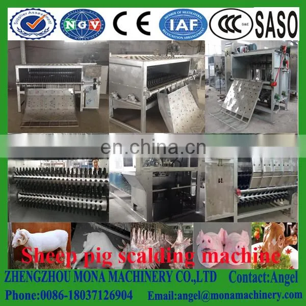 Pig Abattoir Pig Hydraulic Shaved Machine With Good Service photo-5