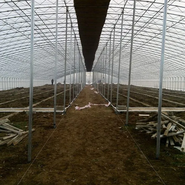 Plastic Film Greenhouse for Tomato/Cucumber/Lettuce Planting photo-4