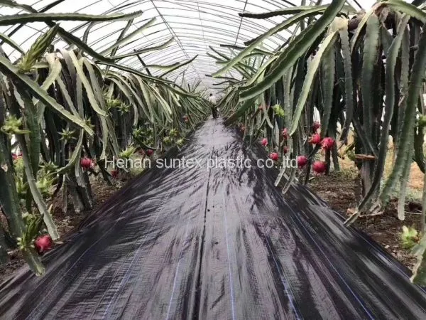 2*100m 100gsm Black Weed Control Mat,orchard Tree Ground Cover Anti Weed Mat,PP Material Agricultural Weed Barrier Mat photo-4
