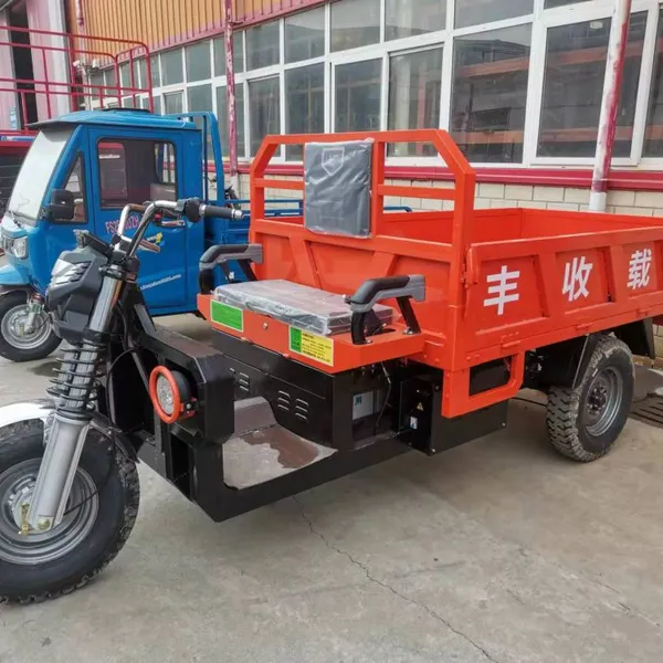 Electric Heavy Cargo Load Tricycle photo-2