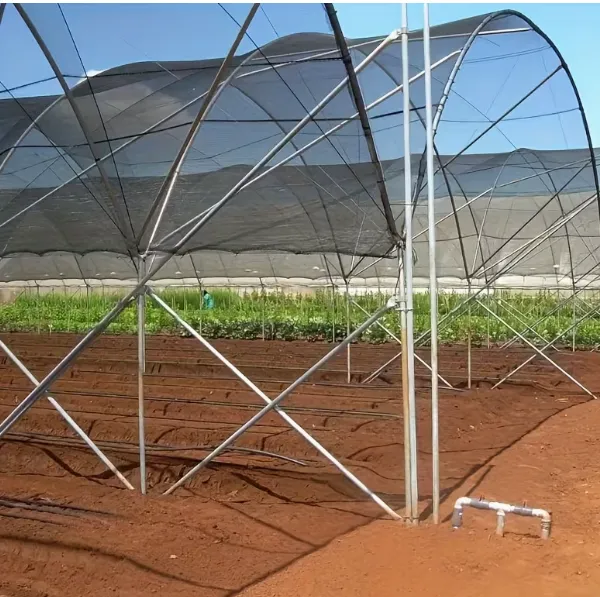 Heavy Duty Agricultural Shade Net for Greenhouse Cooling and Sun Control photo-4