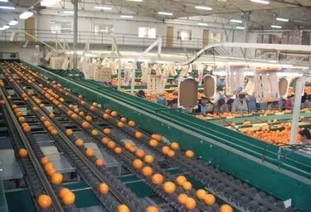 Fruit Juice Processing Plant/ Orange Juice Concentrate Fruit Production Line photo-3