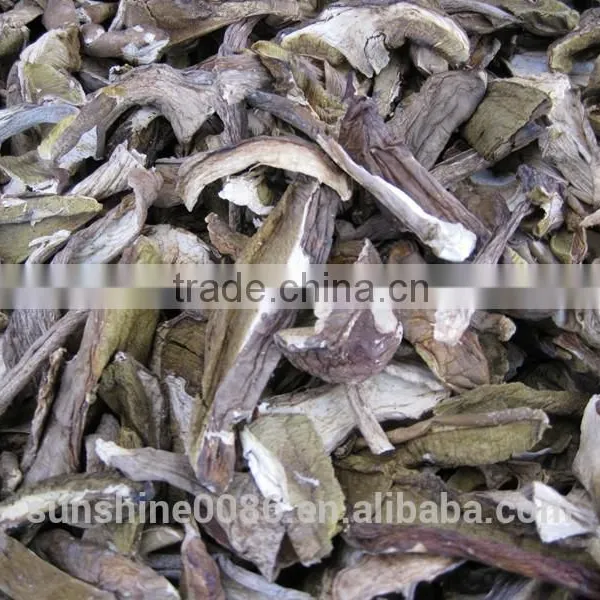Market Prices For Boletus photo-6