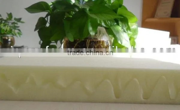 Egg Foam photo-3