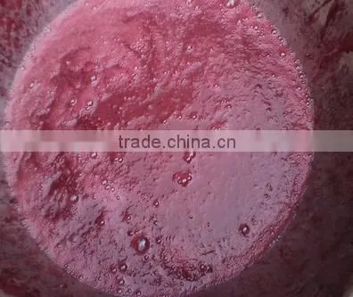 Wide Output Range Full Stainless Steel Peaches Pulping Machine photo-5