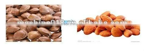 900kg/h Almond Cracking Machine