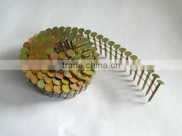 Factory Price Hot Dipped Galvanized Coil Nail photo-4