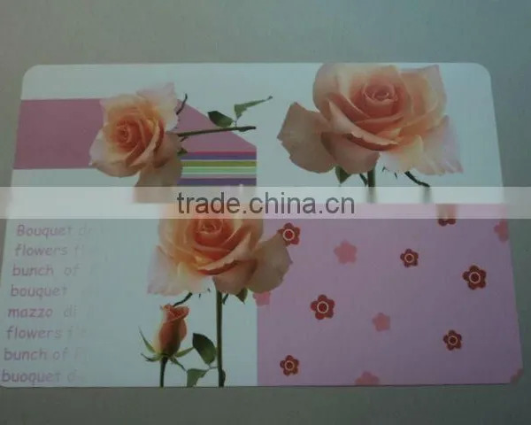 Dining Table Mat,Plastic Table Mat