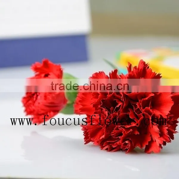 Different Colors Wedding Flower Red Carnation Flower Flower Bouquets photo-3