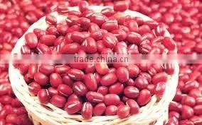 2015 New Crop Red Kidney Beans Shandong photo-3
