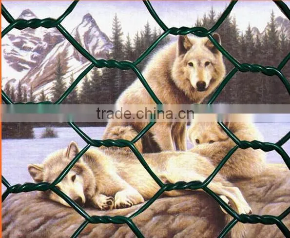 Hexagonal Mesh photo-4