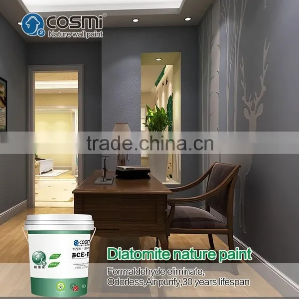 Functional Wall Paint Made of Diatomaceous Earth