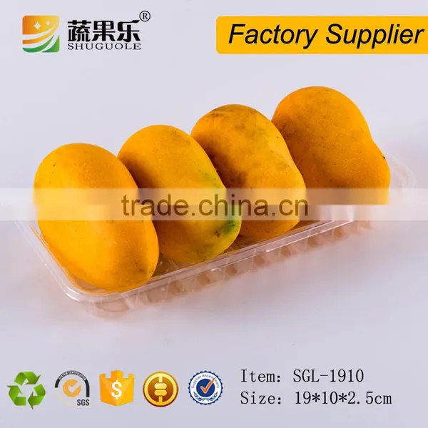 OEM Design PET Blister Vacuum Forming Plastic Tray photo-2