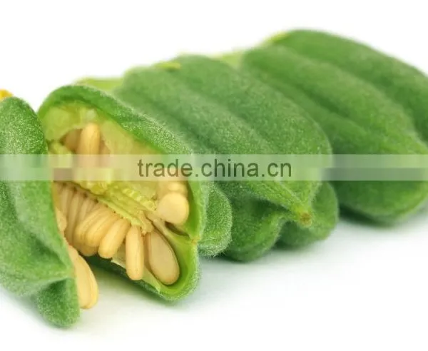 Sesame Oil 20 ml photo-3