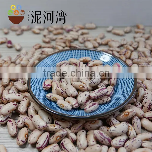 Light Speckled Kidney Bean 200-220pcs With Best Price photo-5