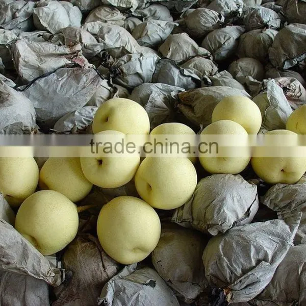 2015 Fresh ya Pear Packing in Carton With Good Quality photo-3