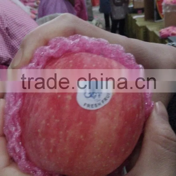 Shandong Fuji Apple photo-2