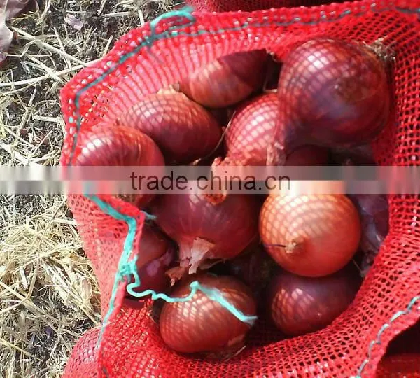 Red Onion photo-2