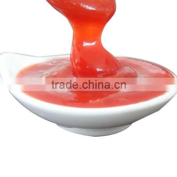 Organic and Natural Color Tomato Ketchup in Plastic Bottle photo-3