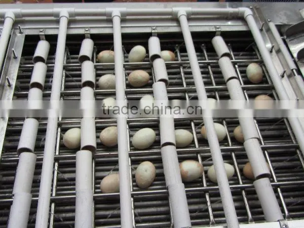 FT-200 Electrical Hen Egg Shelling Machine photo-5